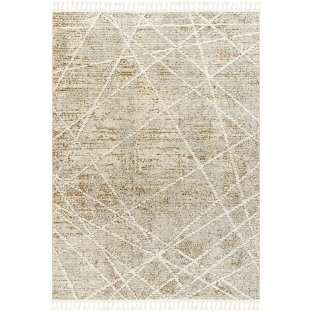 Rudy RDY-2308 Area Rug , With Fringe